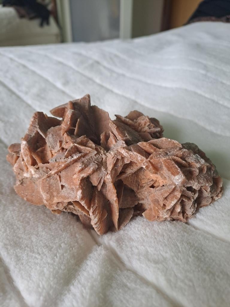 Rose des sables, Collections, Minéraux & Fossiles, Enlèvement