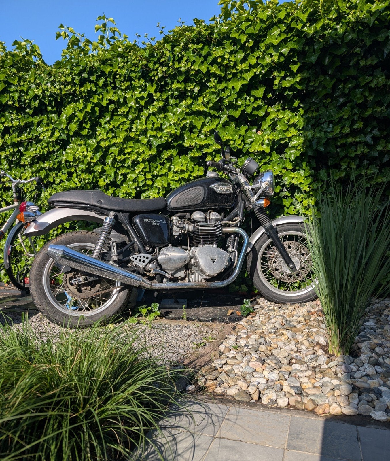 Triumph Thruxton zwart, goed staat!, Motoren, Ophalen of Verzenden