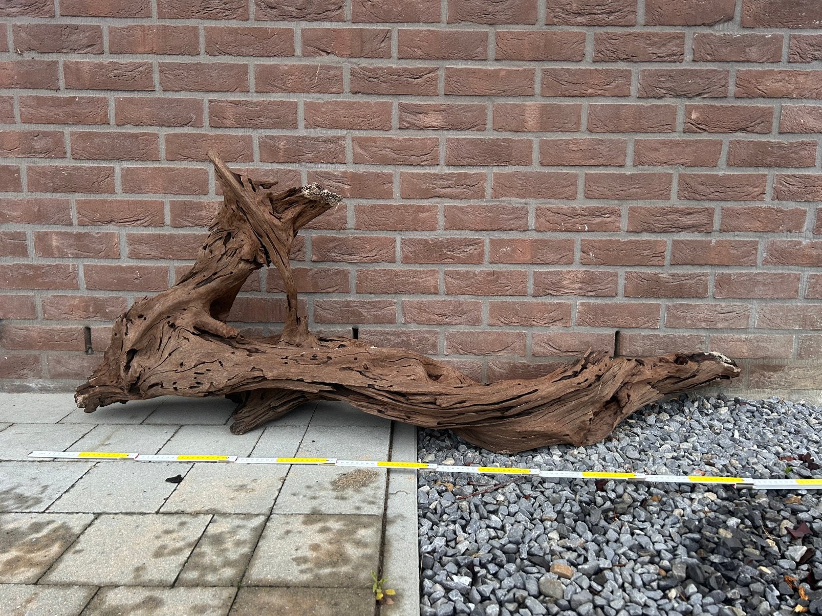 Aquarium hout, Enlèvement