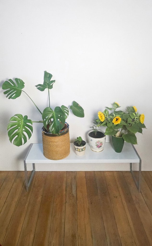 Étagère à plantes / présentoir / Banc - Métal et bois, Enlèvement ou Envoi, Comme neuf, Étagère, Bois