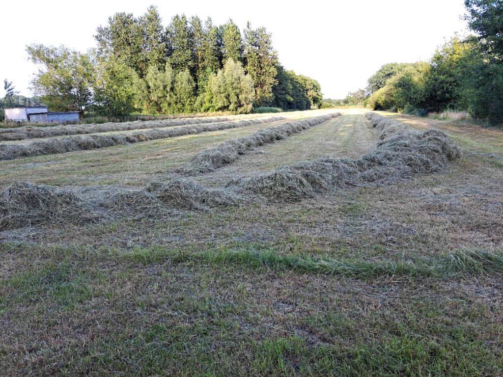 Mini balen voordroog hooi, Ophalen