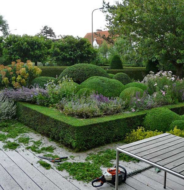 Tuinman voor uw tuinonderhoud, Hekwerk of Schuttingen