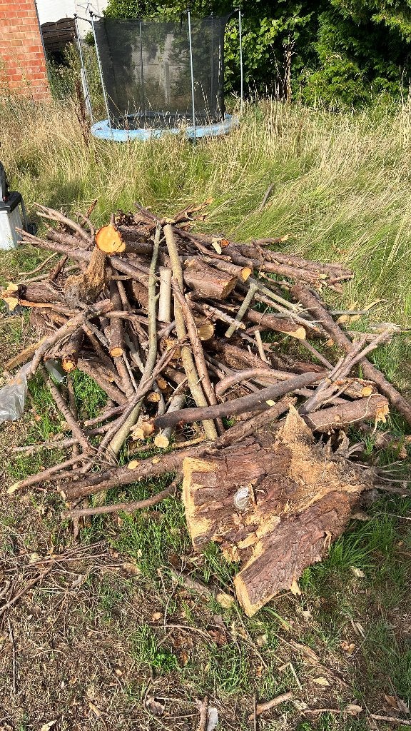 brandhout gratis afhalen, Tuin en Terras, 3 tot 6 m³, Ophalen, Overige houtsoorten, Takken