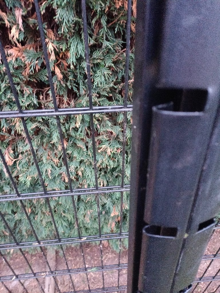 Groot dubbeldraads omheiningspaneel met paal, Tuin en Terras, Ophalen, Nieuw, IJzer, Dubbelstaafmat hekwerk