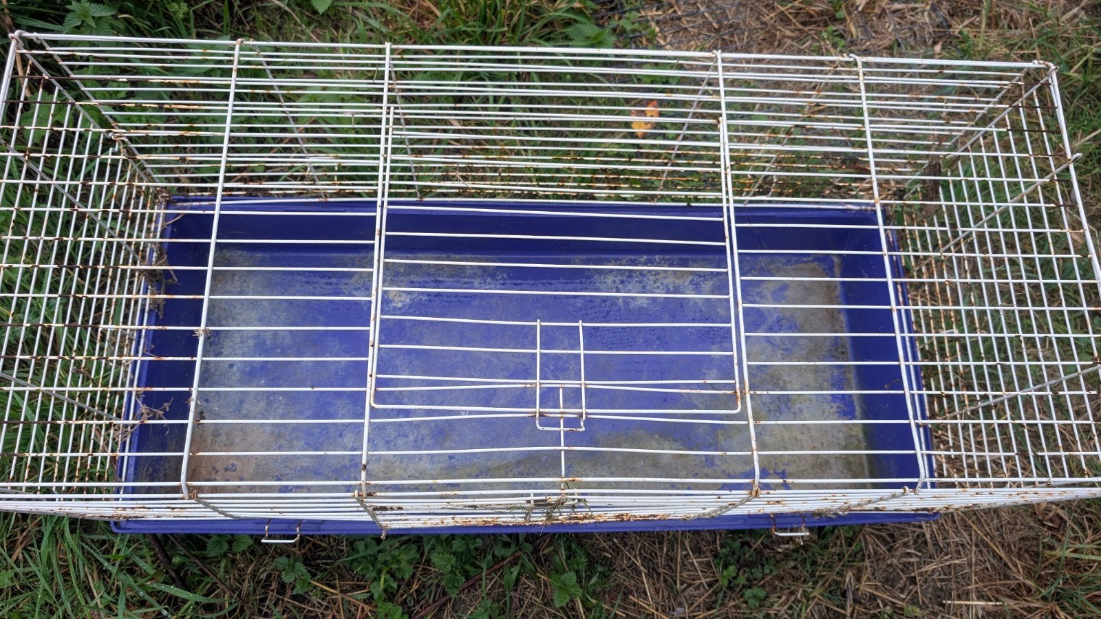 cage pour lapin, Enlèvement, Cage, Lapin
