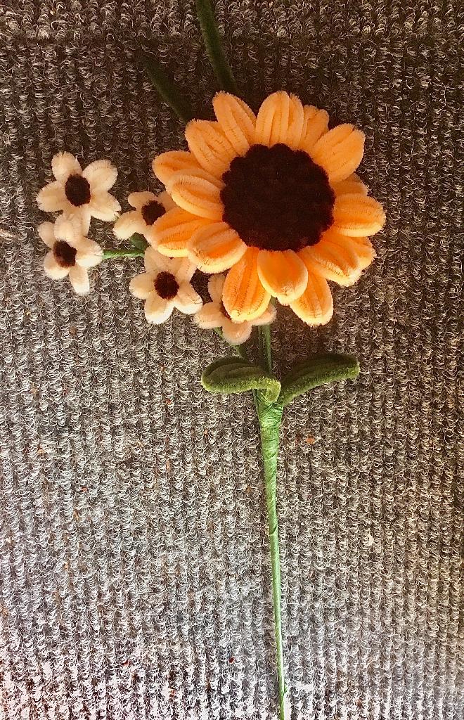 Pijpenragers bloemenzaak 20 A, Verzenden, Nieuw