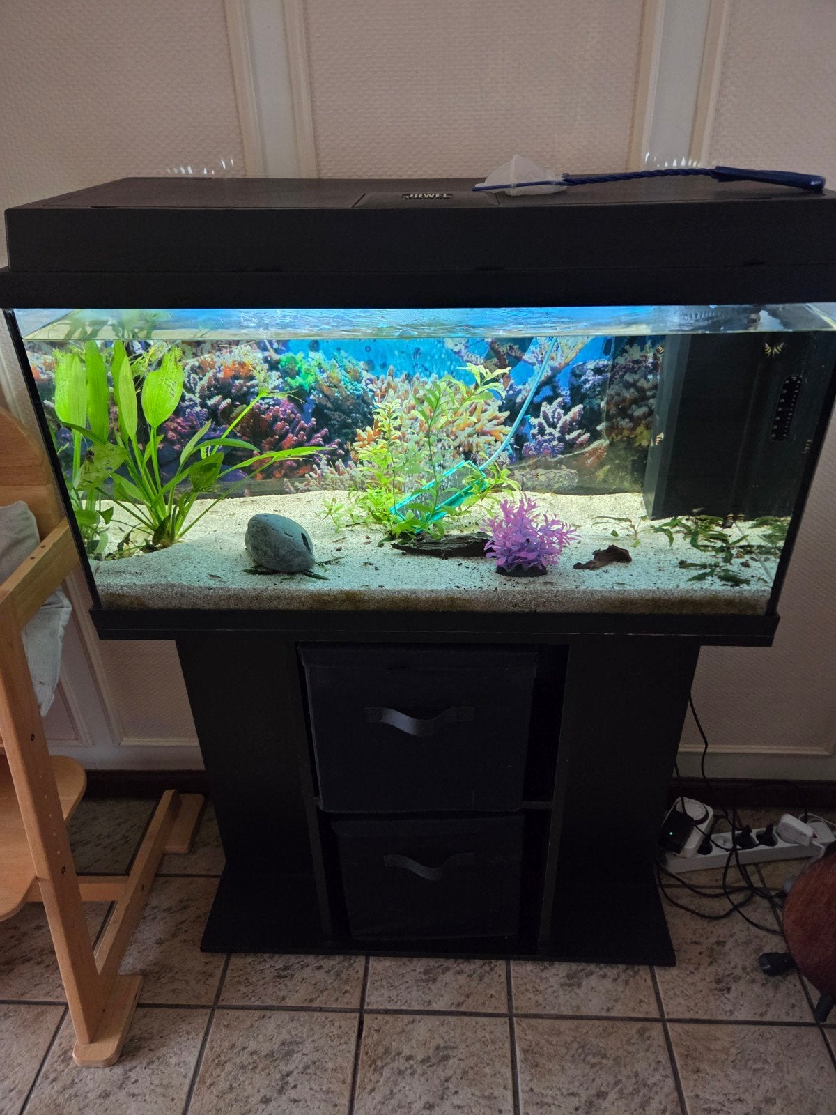 Juwel aquarium 80cm met kast en alle toebehoren, Dieren en Toebehoren, Ophalen, Juwel