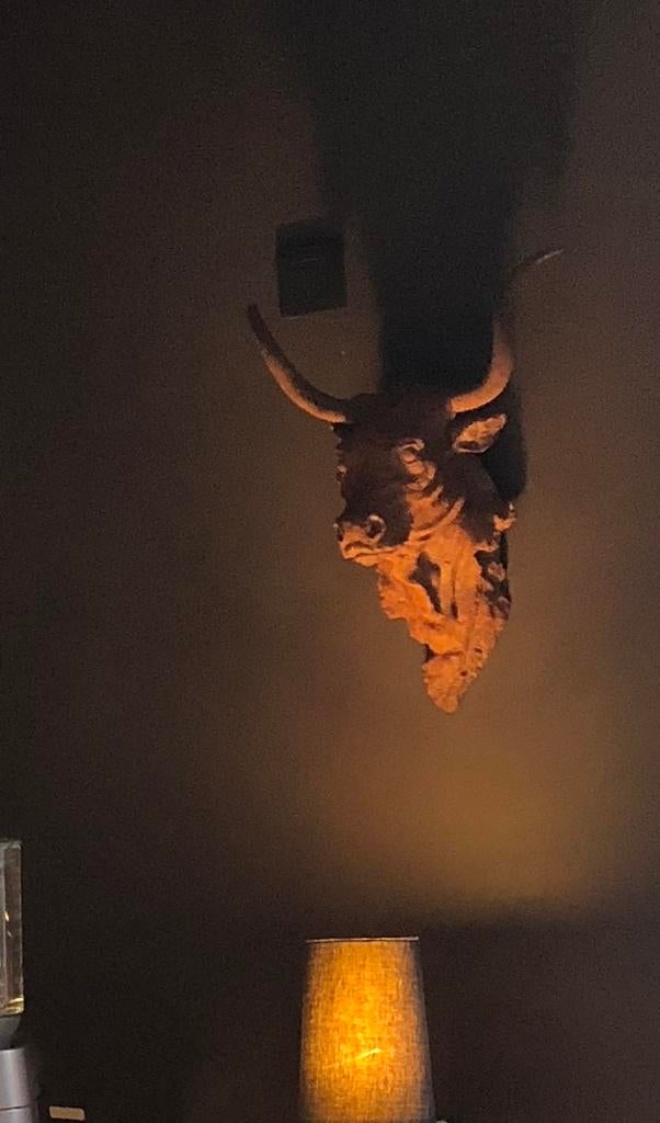 Oude gietijzeren ossenkop, Ophalen of Verzenden, Gebruikt, Dier