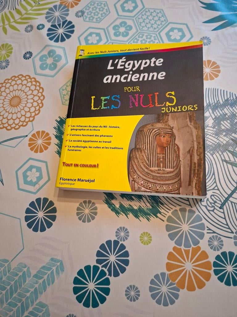 L'Egypte ancienne pour les Nuls.Juniors., Ophalen of Verzenden