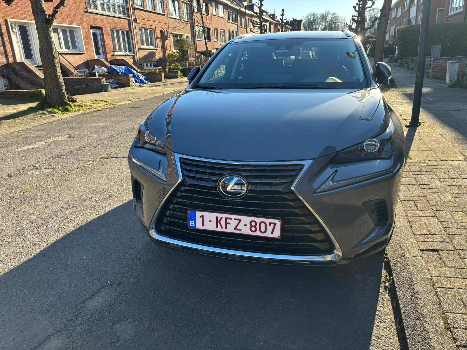 Lexus NX300h hybrid, Auto's, Automaat, Dealer onderhouden, Leder, Parkeersensor