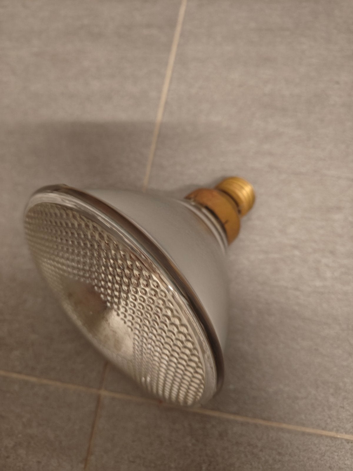 Set van 2 Vintage PAR38  lampen, Ophalen, Philips