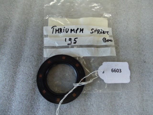 Sprint 900 1996 - 1998 Triumph Dichting D1-13904
