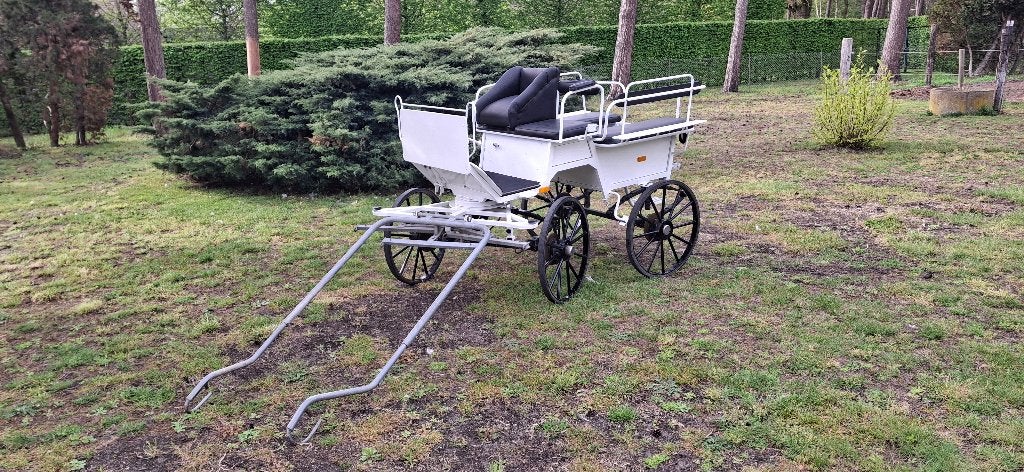 Witte wagonette, Gebruikt, Wagonette, Paard of Pony