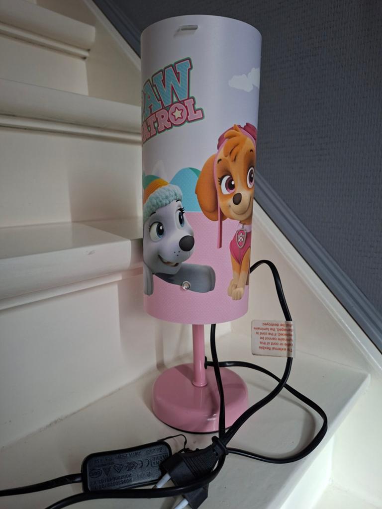 Nachtlampje Paw Patrol, Enlèvement