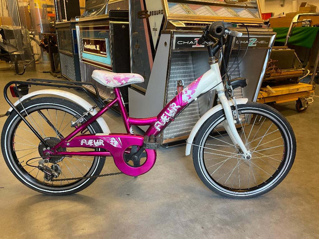 meisjesfiets 20" FLeur, Ophalen, Gebruikt, Velgrem, Versnellingen