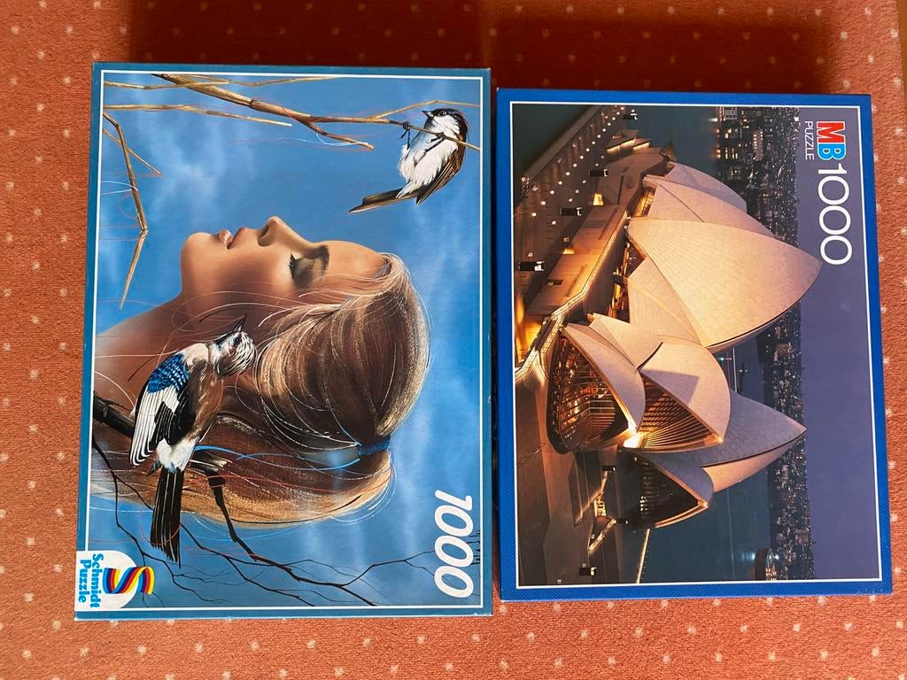 Nouveaux puzzles de 1000 pièces en film plastique, Hobby & Loisirs créatifs, Enlèvement ou Envoi, Neuf