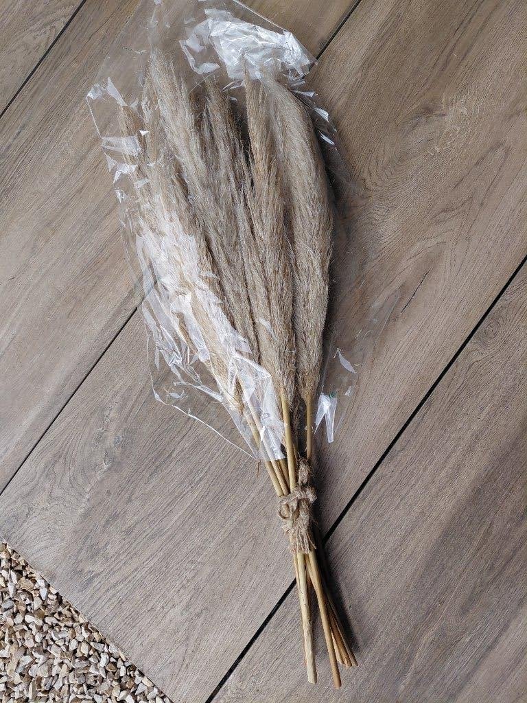 Lot 10 pampas, Huis en Inrichting, Woonaccessoires | Droogbloemen, Ophalen