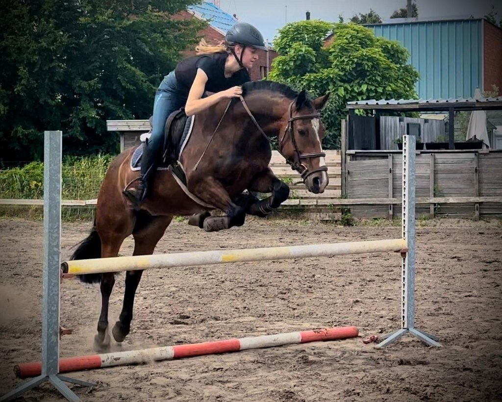 Te huur rijwoning met paardenaccomodatie, Immo, Provincie Oost-Vlaanderen, Direct bij eigenaar, 3 kamers, Tussenwoning