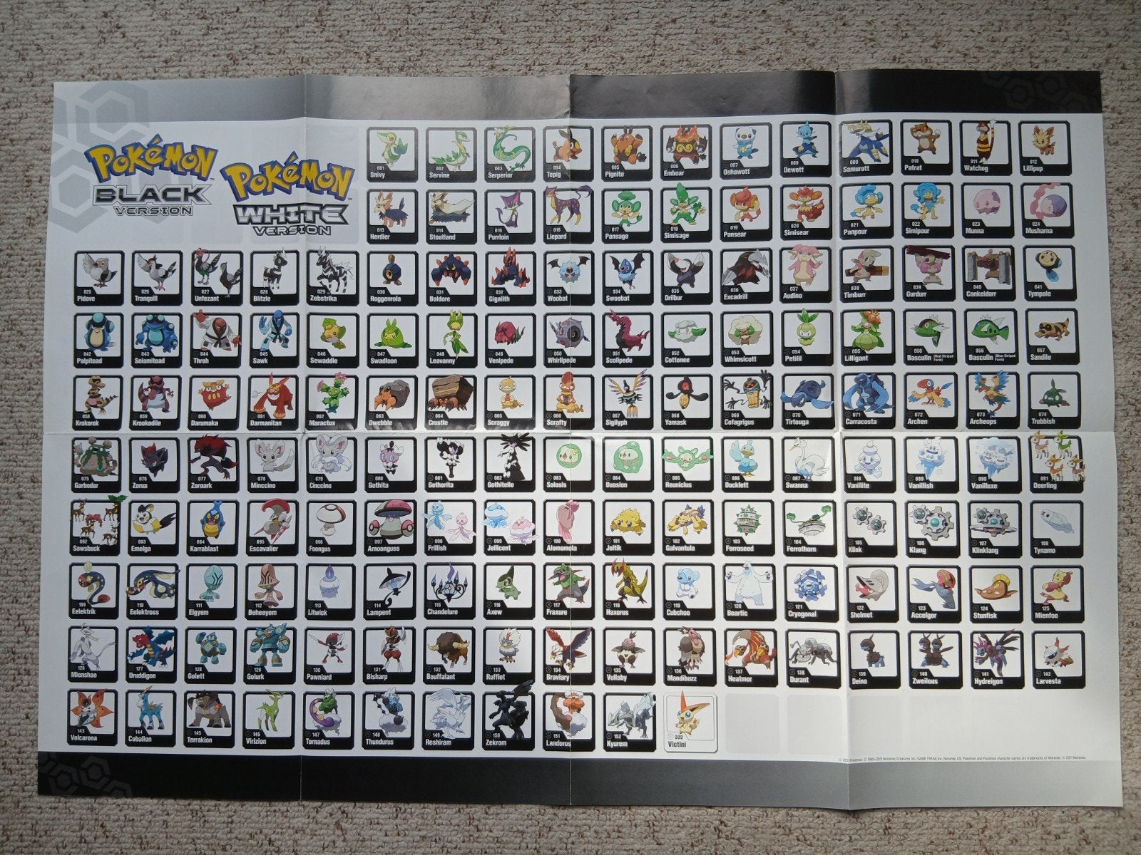 Pokémon Black & White poster, Games en Spelcomputers, Ophalen of Verzenden