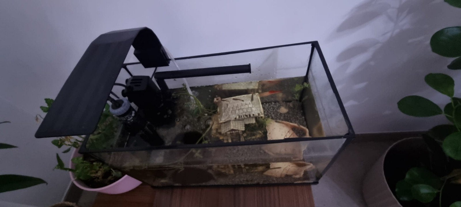 aquarium met guppy's, Dieren en Toebehoren, Ophalen, Pomp, Filter