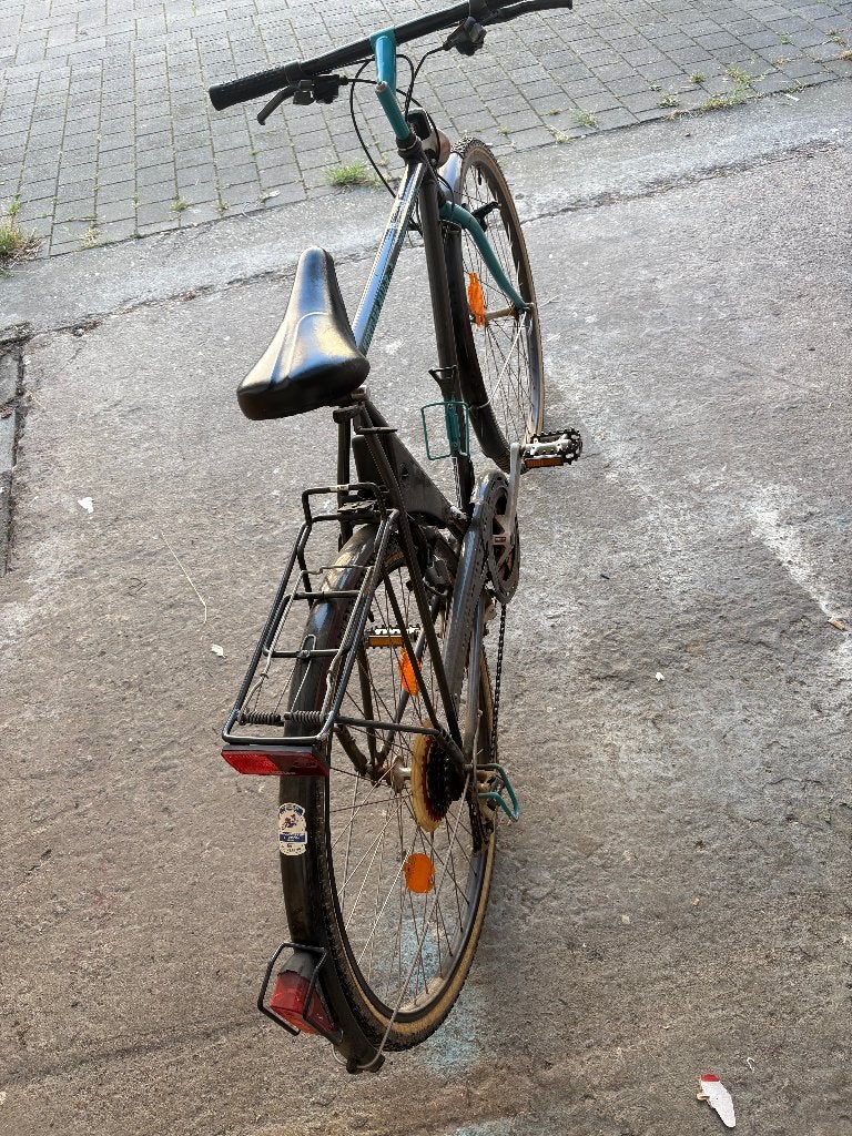 fietsen, Fietsen en Brommers, Fietsen | Heren | Herenfietsen, Gebruikt, Velgrem, Versnellingen, Ophalen