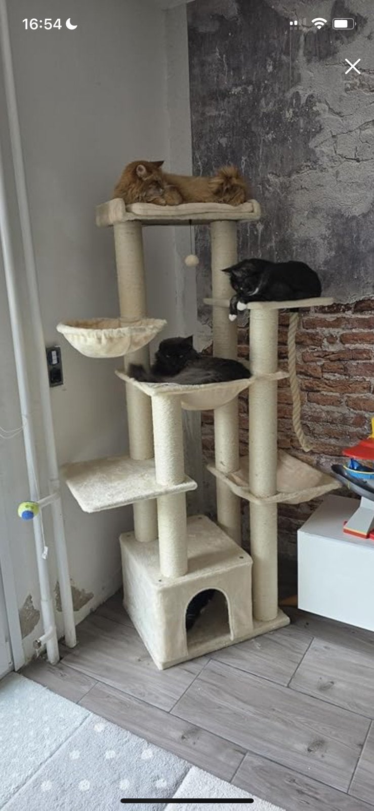 Extra Stevige Krabpaal 170cm –Voor Maine Coon & Grote Katten, Dieren en Toebehoren, Ophalen of Verzenden, Zo goed als nieuw, Krabpaal