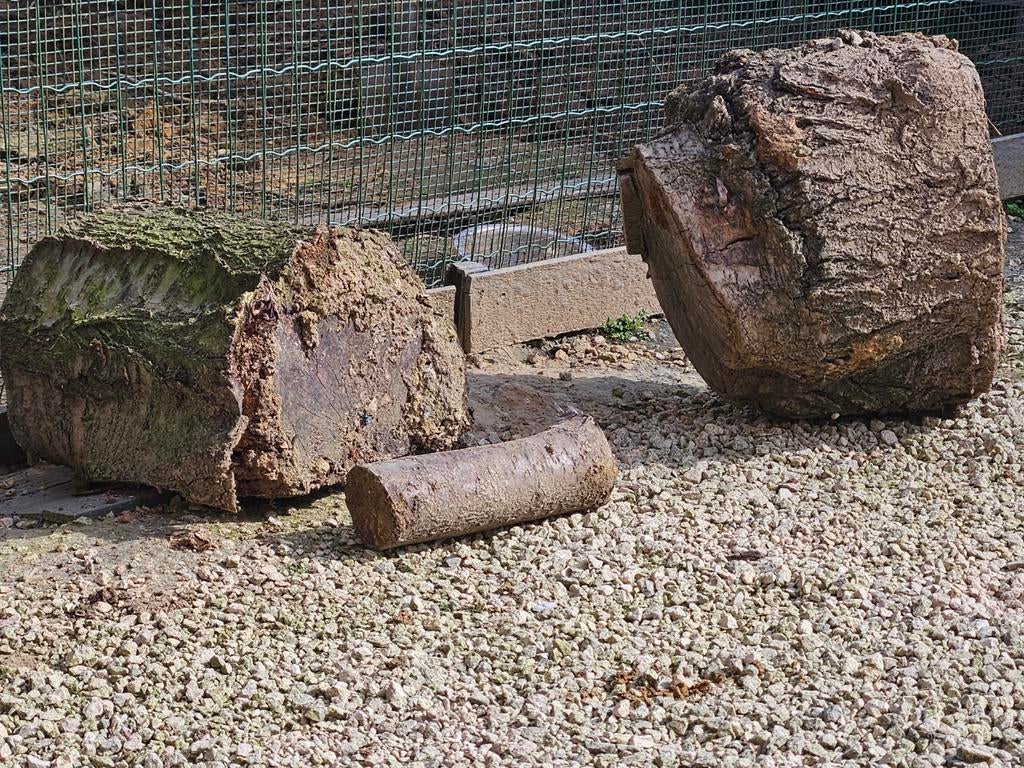 Boomstronken gratis brandhout, Tuin en Terras, Ophalen