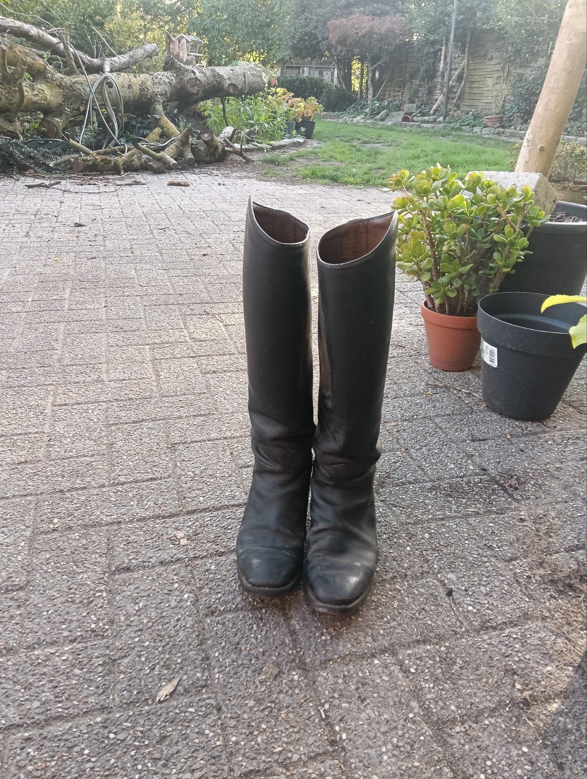 Cavallo rijlaarzen met 38. Leer, Dieren en Toebehoren, Ophalen, Gebruikt, Overige merken, Veelzijdigheid