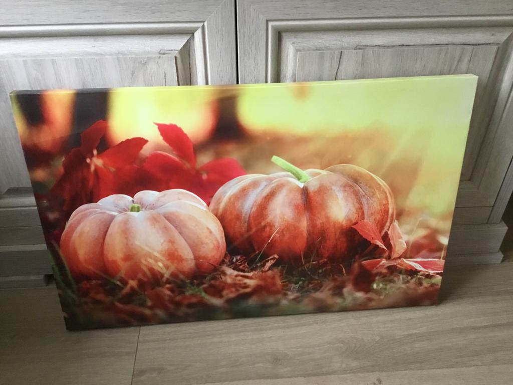 3 canvas schilderijen, Antiek en Kunst, Ophalen