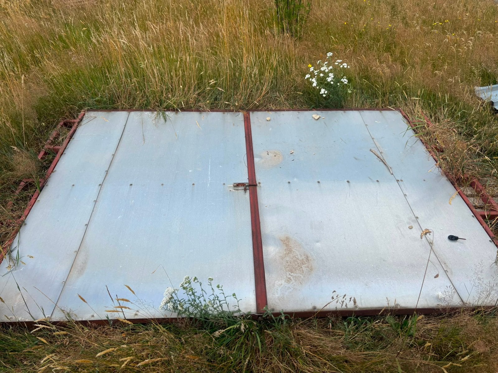 Poort, Tuin en Terras, Ophalen, Gebruikt, Staal, 200 cm of meer