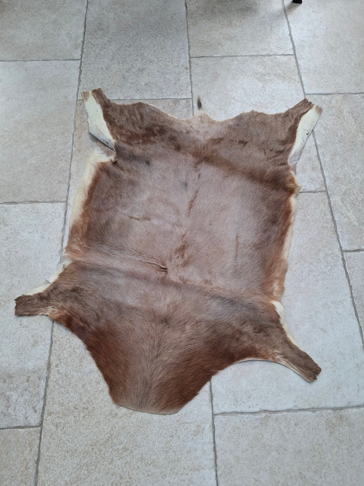 Afrikaanse dierenhuid, Ophalen, Gebruikt, Wild dier, Overige typen