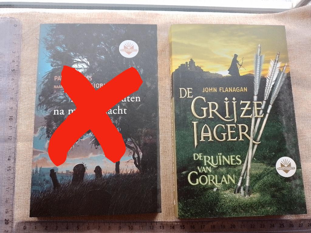 De grijze jager De ruInes van Gorlan John Flanagan, Boeken, Ophalen of Verzenden