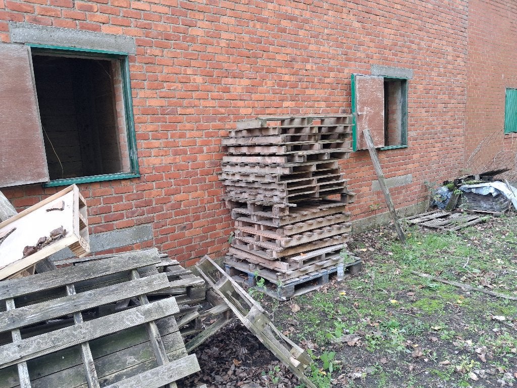brandhout en paletten, 3 tot 6 m³, Ophalen, Overige houtsoorten, Blokken