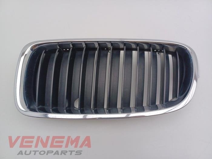 Grille van een BMW 3-Serie (NVT), Gebruikt, -, -, Ophalen of Verzenden