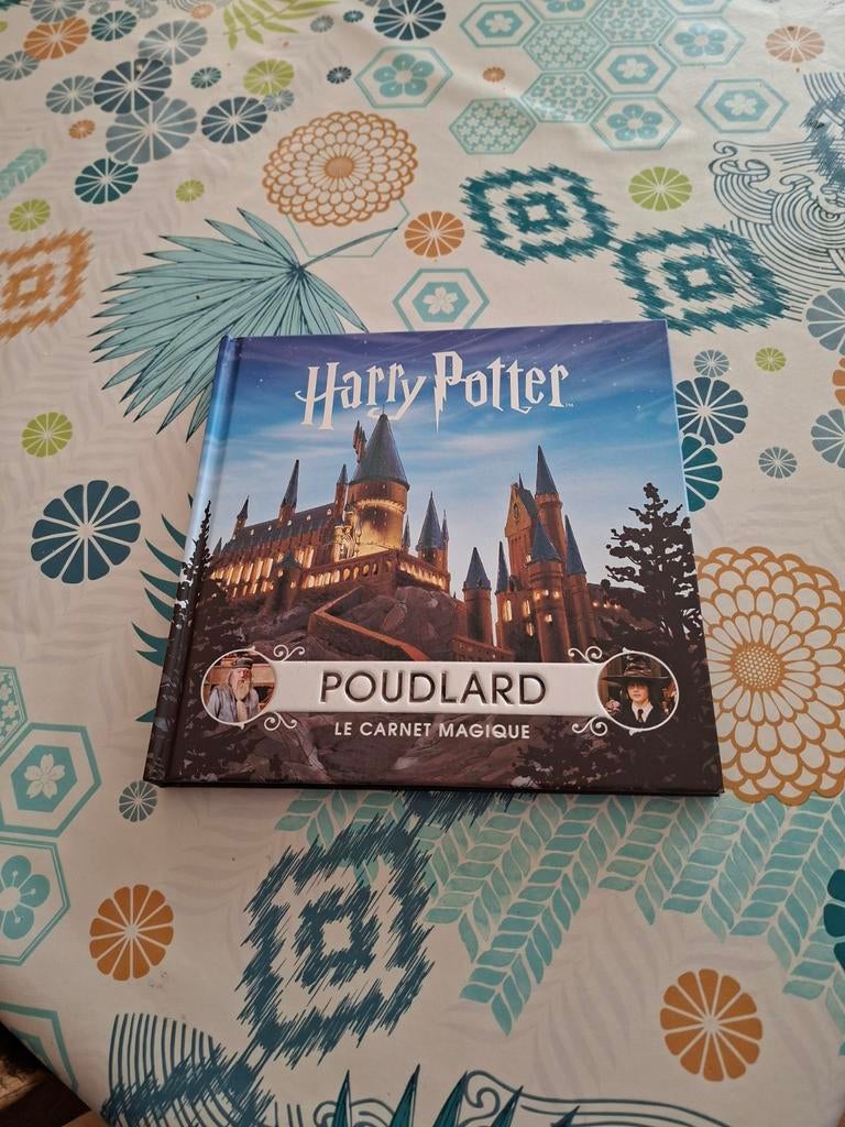 Harry Potter.Poudlard.Le carnet magique., Enlèvement ou Envoi