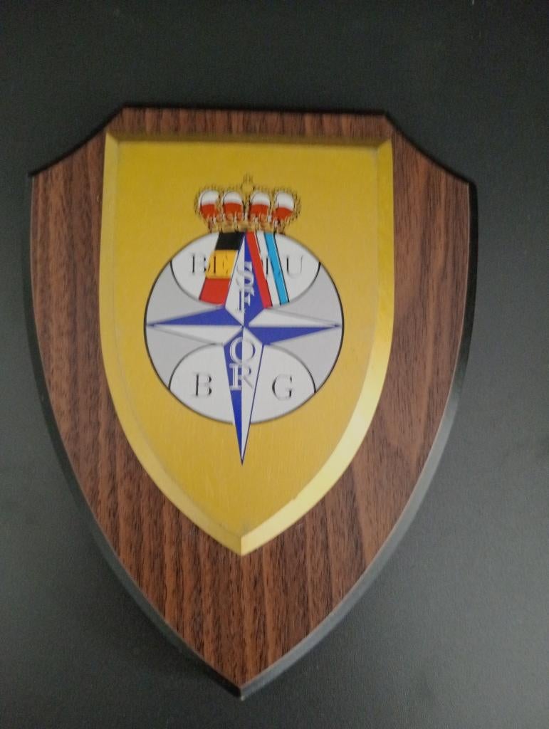 Wapen Mission NAVO, Ophalen of Verzenden, Landmacht, Embleem of Badge