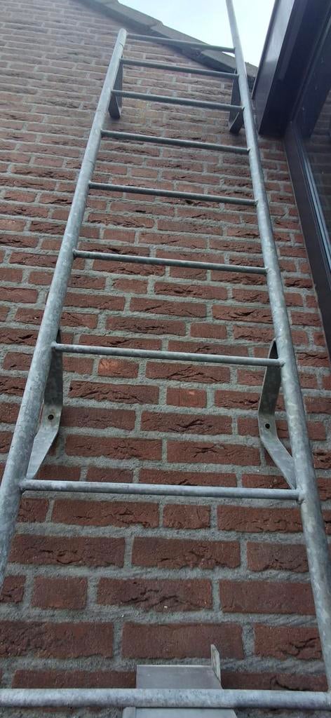 GegalvLadder:platdak,zoldr,vlucht 0,5m×2,75m inclGrijpstang, Ophalen, Nieuw