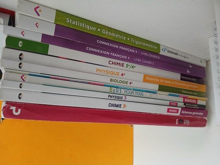 livres scolaires, Ophalen of Verzenden, Gelezen, ASO, Overige vakken