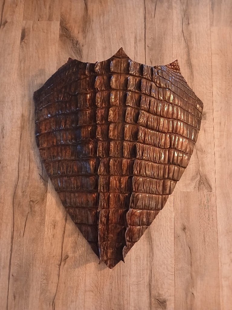Reuze schild reptiel, Verzamelen, Ophalen, Zo goed als nieuw, Reptiel of Amfibie, Overige typen