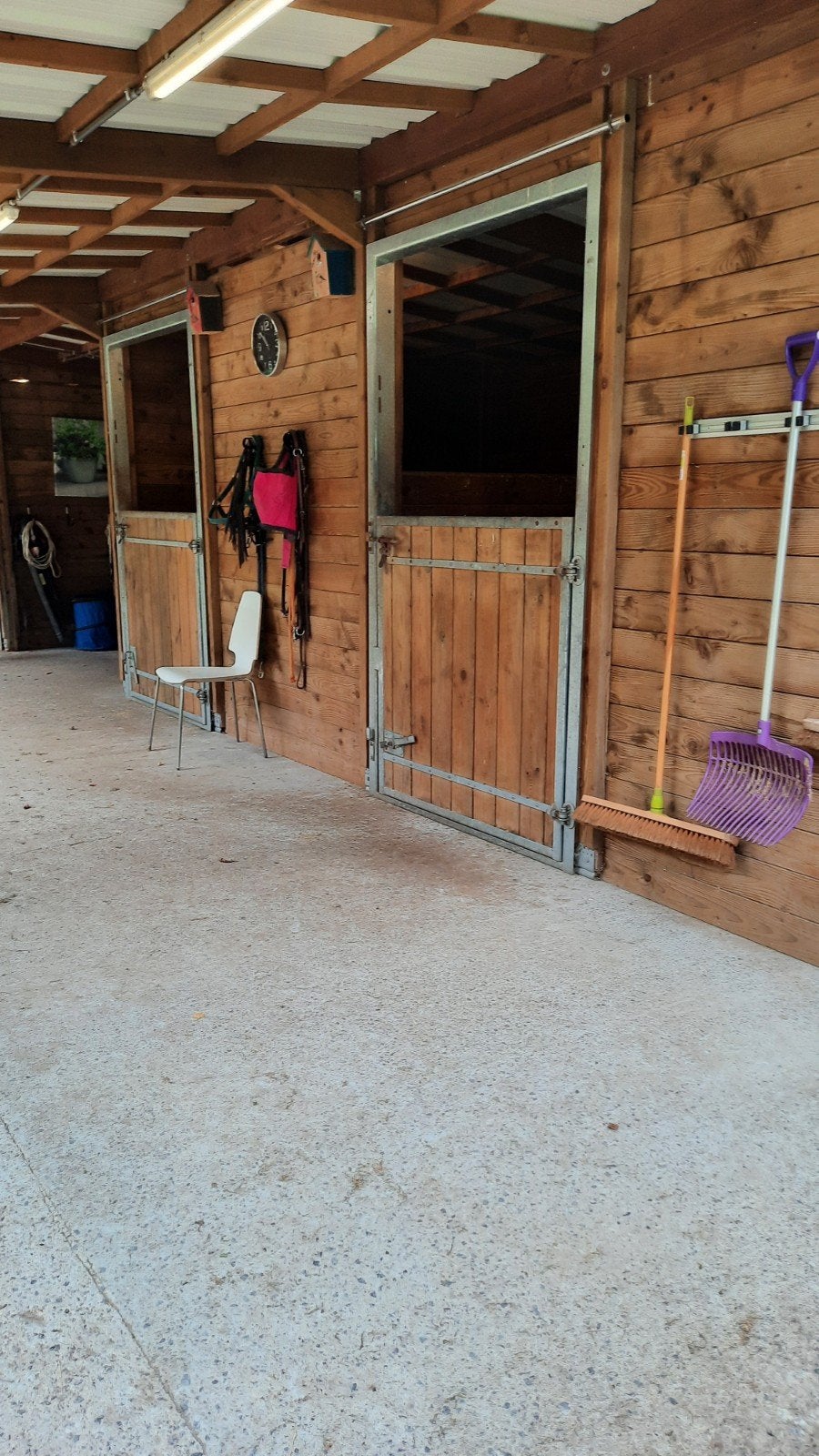 annonce toujours active pension cheval boxe prairie sur 4845, Animaux & Accessoires
