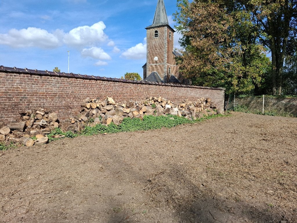 Bois de chauffage, Enlèvement, Hêtre, Bûches