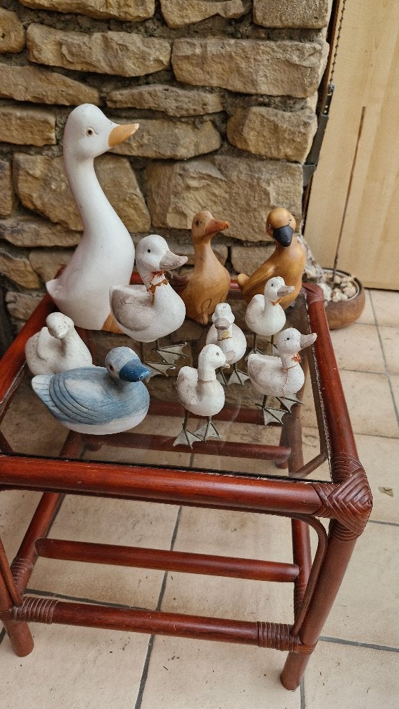 GROUPE de PETITS CANARDS, Enlèvement, Utilisé