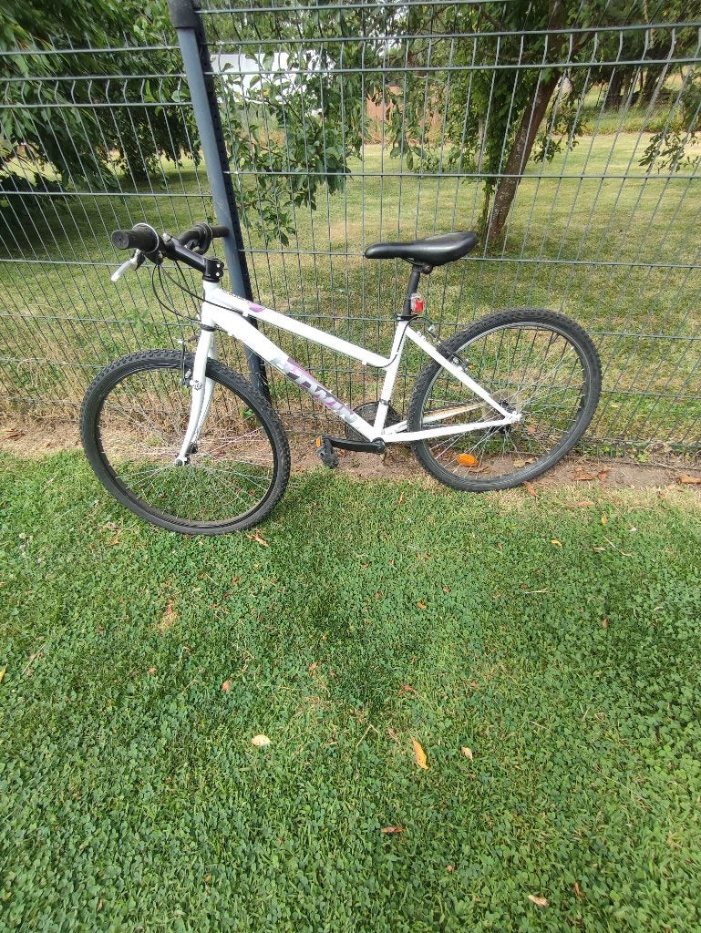 Vélo fille, Enlèvement
