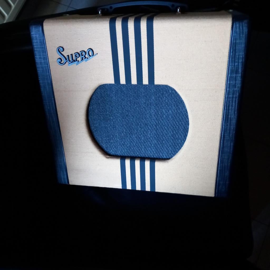 Delta king 10, Muziek en Instrumenten, Snaarinstrumenten | Gitaren | Elektrisch, Ophalen, Gebruikt