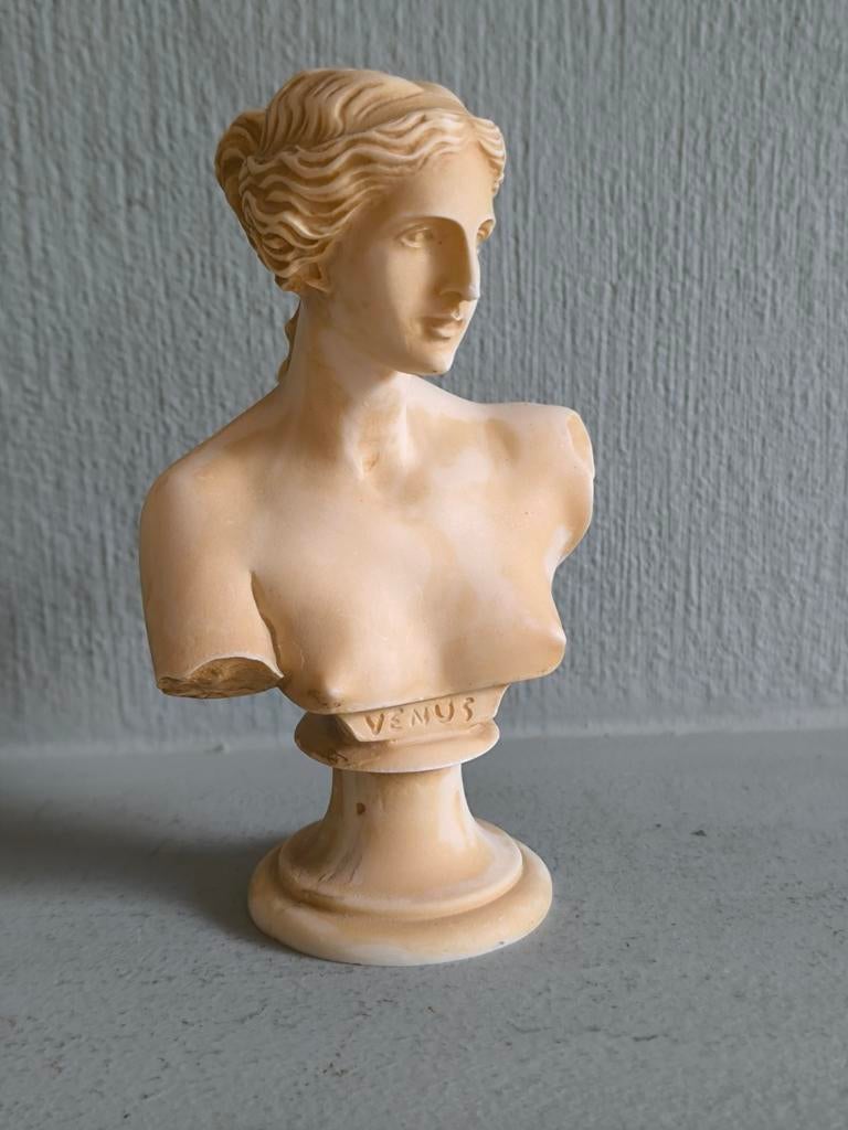 Buste Venus van Milo, Ophalen of Verzenden, Buste