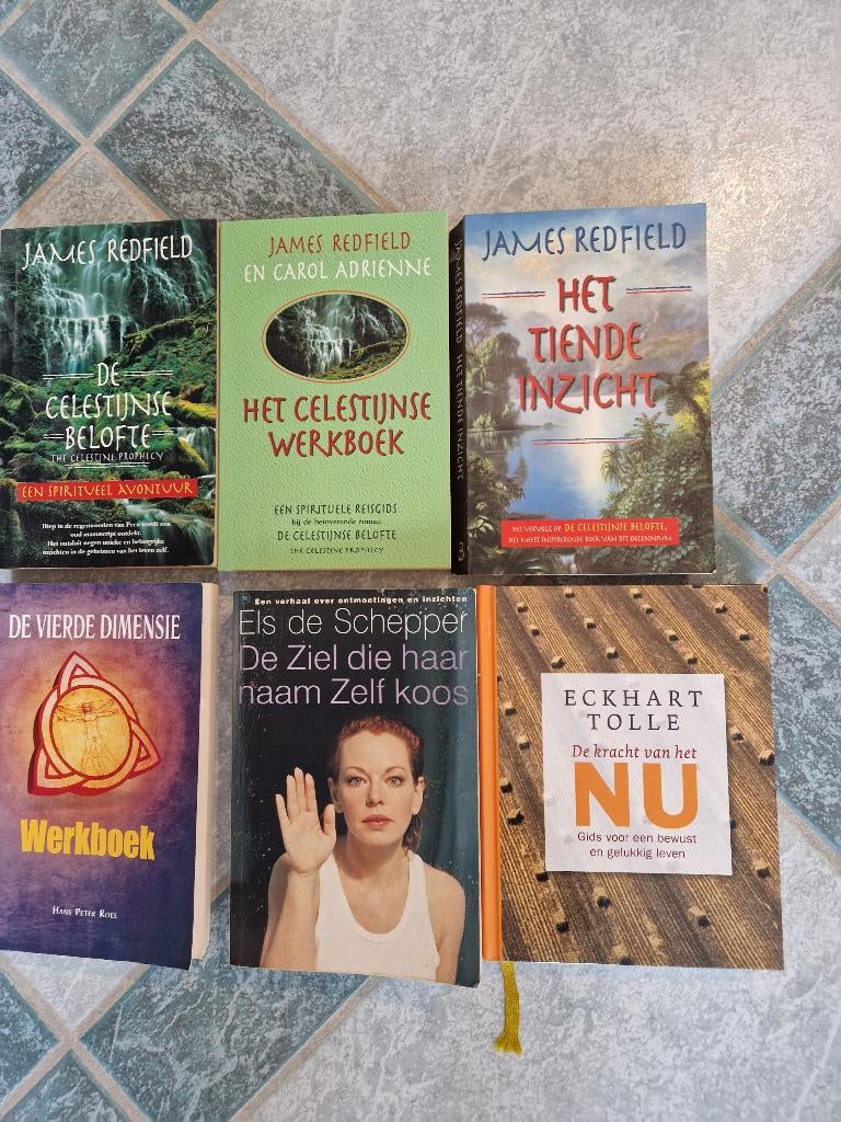 Spirituele boeken – bewustzijn & persoonlijke groei, Ophalen of Verzenden, Zo goed als nieuw