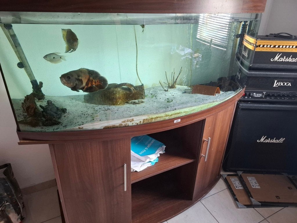 Aquarium, Dieren en Toebehoren, Ophalen, Gebruikt, Pomp, Leeg aquarium