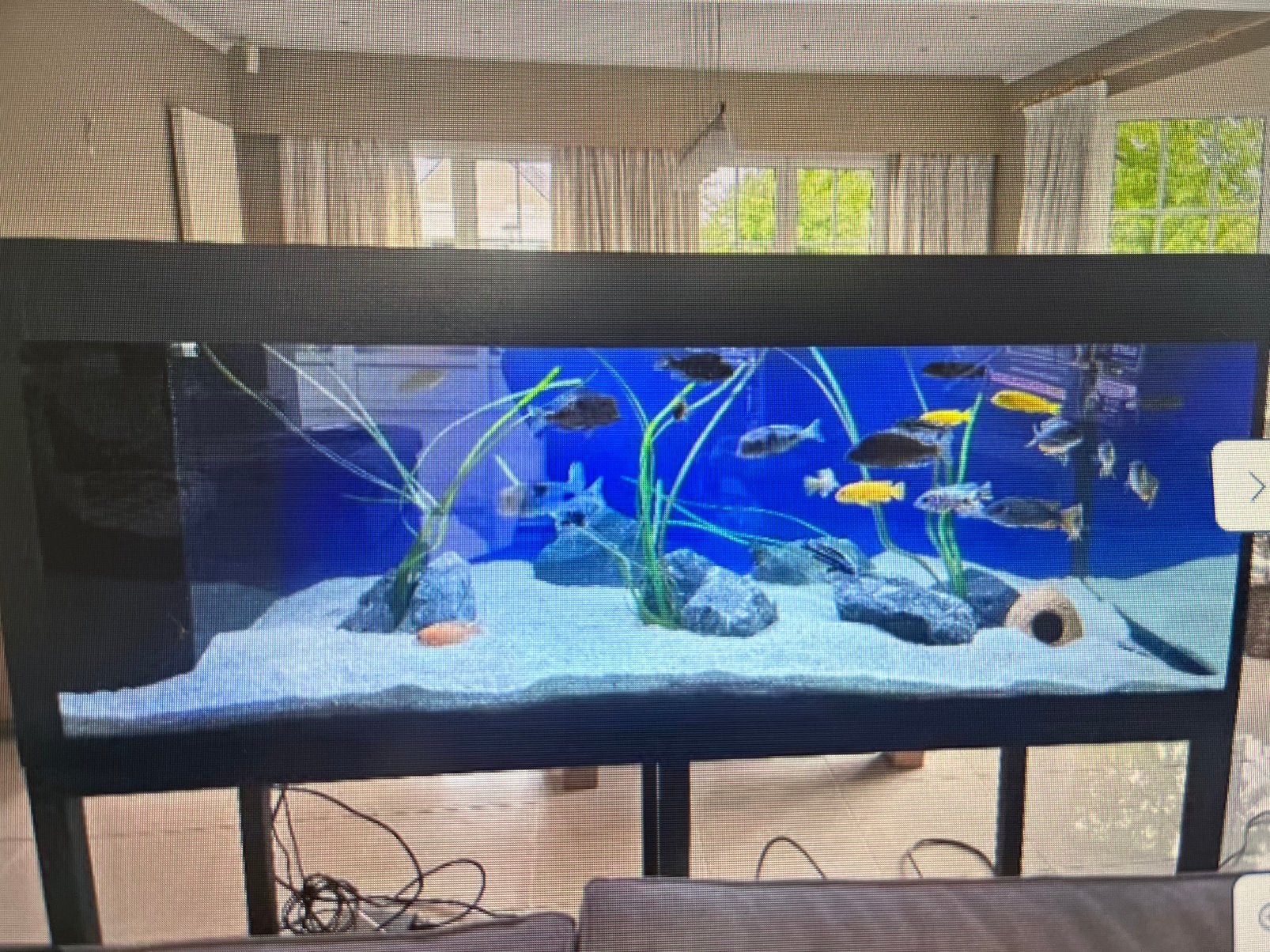 Aquarium, Animaux & Accessoires, Poissons | Aquariums & Accessoires, Aquarium vide, Comme neuf, Enlèvement, Pompe