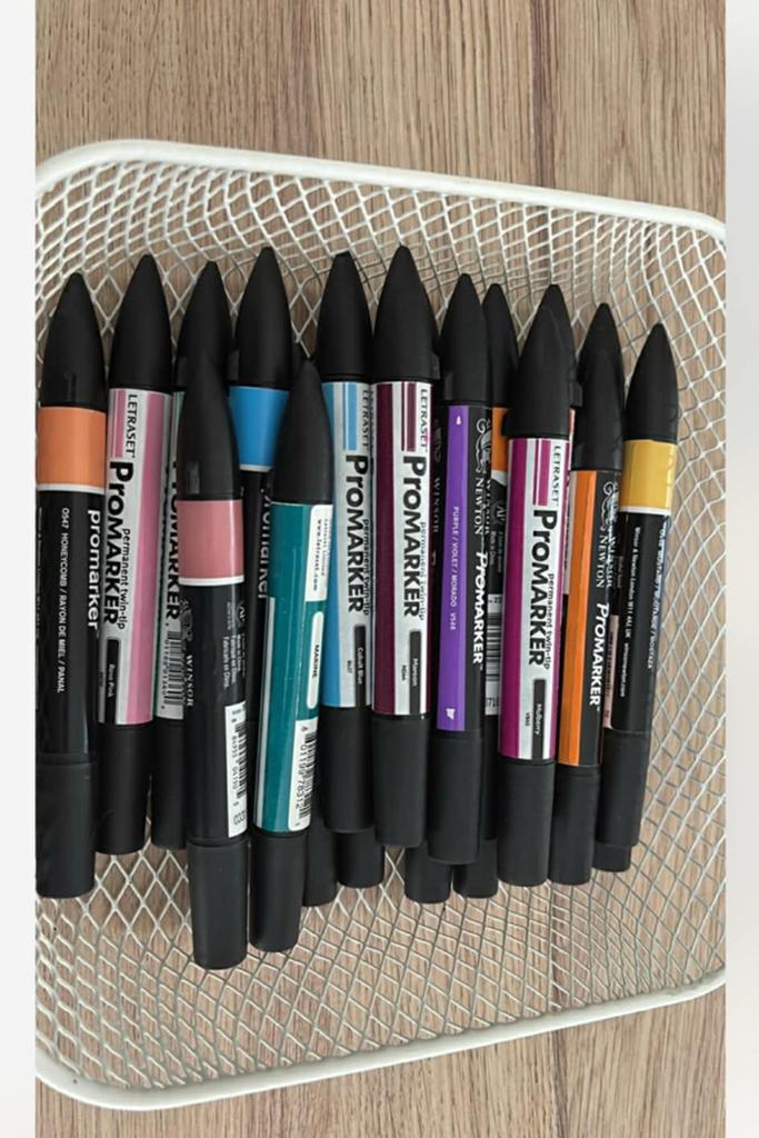 Marqueurs permanents Sharpie-Bic-Promarker, Hobby & Loisirs créatifs, Enlèvement, Comme neuf