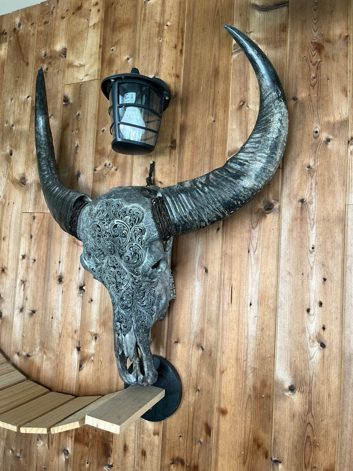 Waterbuffel schedel - skull art, Ophalen, Wandhanger, Zo goed als nieuw, Handgemaakt